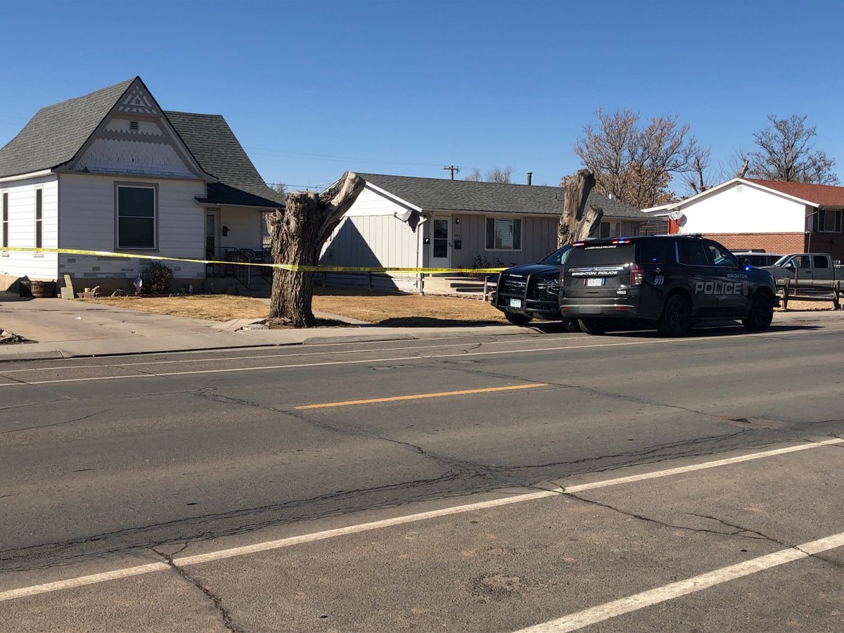 Police investigating homicide in Brighton